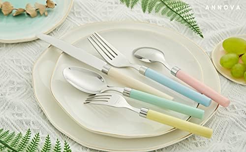 ANNOVA 20 Piece Silverware Set, Service for 4, Stainless Steel Colorful Pastel Tableware Kitchen Flatware Set Utensils, Includes Dinner Knives, Forks, Spoons, Salad Forks & Dessert Spoons (Mix 68)