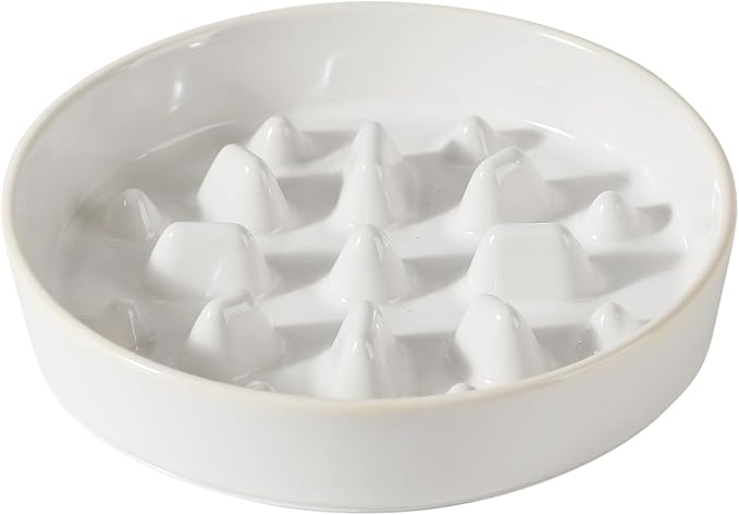 Havniva Ceramic 1.6 Cup Dog Bowl Slow Feeder for Fast Eaters, 8.2inch Slow Pet Food Dish for Medium and Large Dog, Stop Bloat, Preventing Choking(Single Bowl,Reactived Glaze -White)