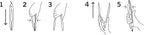 Rösle Stainless Steel Lock and Release Click Tongs, 17-inch