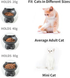 Nihow Elevated Cat/Dog Bowls Set : 5 Inch Ceramic Raised Cat Food and Water Bowl Set for Protecting Pet's Spine - Feeding & Watering Supplies for Pets- Matte Black (2PC)