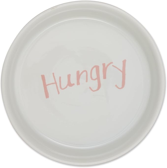 Bone Dry Ceramic Pet Collection Chevron, Medium Set, 6x2, Pink, 2 Piece