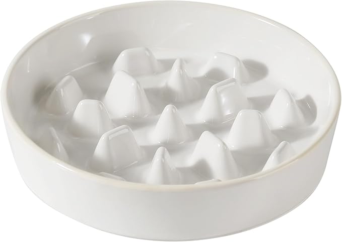 Havniva Ceramic 3.2 Cup Dog Bowl Slow Feeder, 9.5 inch Slow Pet Food Dish for Large Dog, Stop Bloat, Preventing Choking(Single Bowl,Reactived Glaze -White)