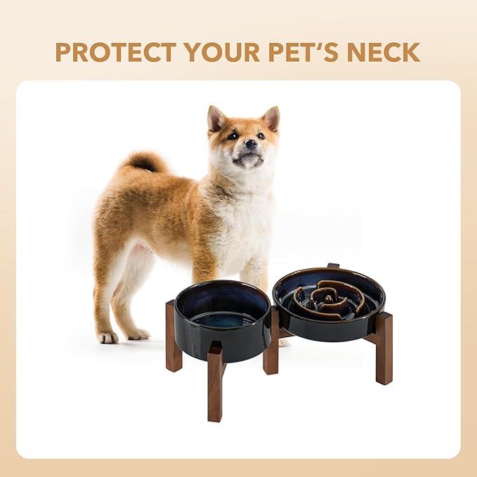 Havniva Ceramic 1.2 Cup Raised Slow Feeder Dog Bowl Set, Elevated 6.1inch Bowl and 7.3inch Dish with Acacia Wood Stand for Small and Medium Dog(2 x Starry Sky+ Stand)