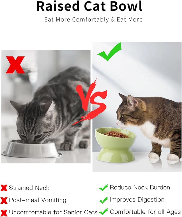 ABRUTY Cat Water Bowl, 16 OZ Ceramic Elevated Cat Bowls, 15° Tilted and Raised Pet Food Dish, Anti Vomiting Protect Pets' Spines and Whisker Fatigue