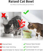 ABRUTY Cat Water Bowl, 16 OZ Ceramic Elevated Cat Bowls, 15° Tilted and Raised Pet Food Dish, Anti Vomiting Protect Pets' Spines and Whisker Fatigue