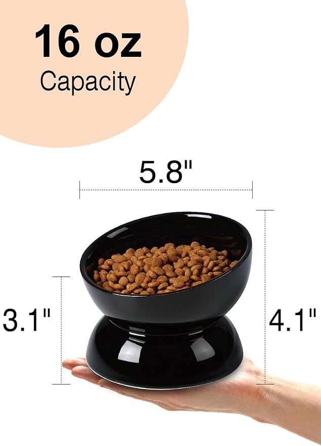 ABRUTY Cat Water Bowl, 16 OZ Ceramic Elevated Cat Bowls, 15° Tilted and Raised Pet Food Dish, Anti Vomiting Protect Pets' Spines and Whisker Fatigue