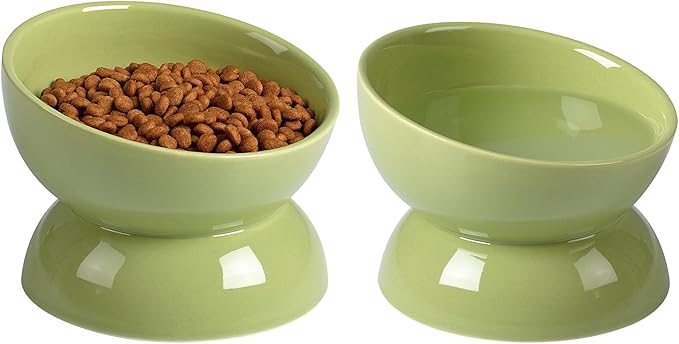 ABRUTY Cat Water Bowl, 16 OZ Ceramic Elevated Cat Bowls, 15° Tilted and Raised Pet Food Dish, Anti Vomiting Protect Pets' Spines and Whisker Fatigue