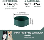 Havniva Ceramic Dog Bowl, Food and Water Bowl for Medium Breed Dog, Pet Bowl for Replacement (7.3 inch, Single Bowl, Green)
