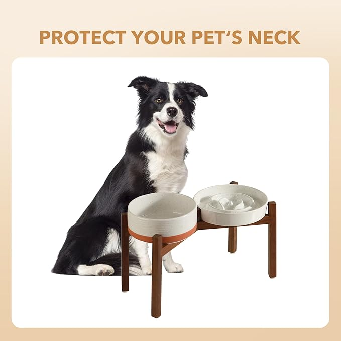 Havniva Ceramic 1.6 Cup Raised Slow Feeder Dog Bowl Set, Elevated 7.3inch Bowl and 8.2inch Dish with Acacia Wood Stand for Medium and Large Dogs(2 x Vanilla White+ Stand)