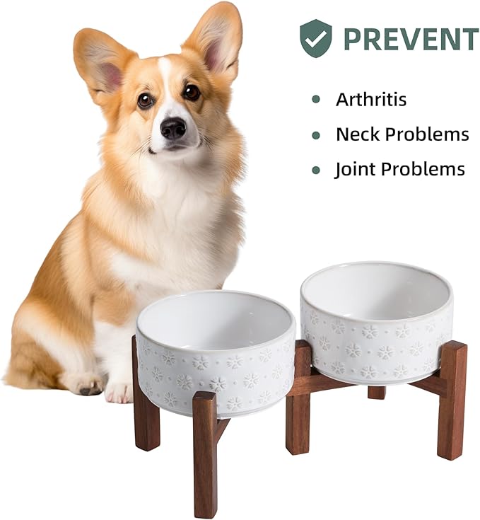 Havniva 6.1inch Ceramic Raised Double Bowls Set with Acacia Wood Stand, 2 Heights Elevated, Food & Water Bowls for Small Breed Dogs, Weighted Dog Dishes, Pet Bowl(27oz, Arctic White)