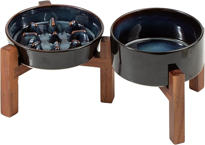 Havniva Ceramic 0.9 Cup Raised Slow Feeder Dog Food and Water Bowl Set, Elevated 6.1inch Bowl and 6.1inch Dish with Acacia Wood Stand for Small Dogs (2 x Starry Sky+ Stand)