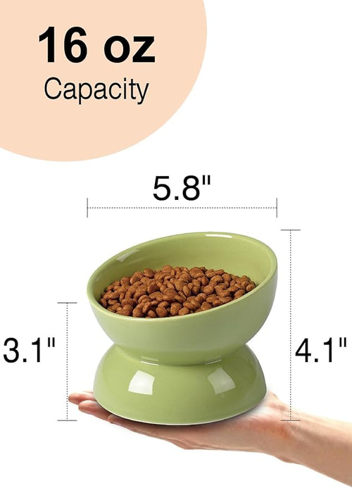 ABRUTY Cat Water Bowl, 16 OZ Ceramic Elevated Cat Bowls, 15° Tilted and Raised Pet Food Dish, Anti Vomiting Protect Pets' Spines and Whisker Fatigue