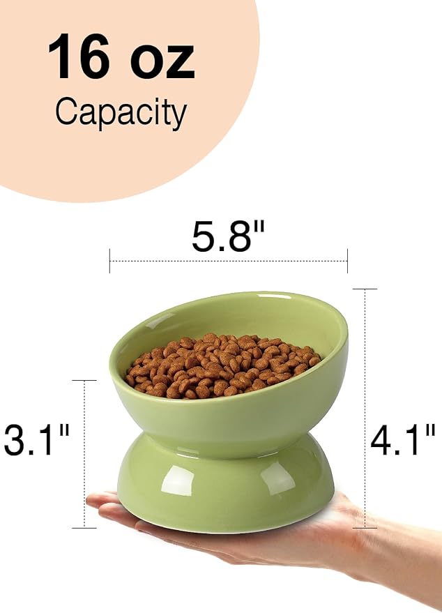 ABRUTY Cat Water Bowl, 16 OZ Ceramic Elevated Cat Bowls, 15° Tilted and Raised Pet Food Dish, Anti Vomiting Protect Pets' Spines and Whisker Fatigue