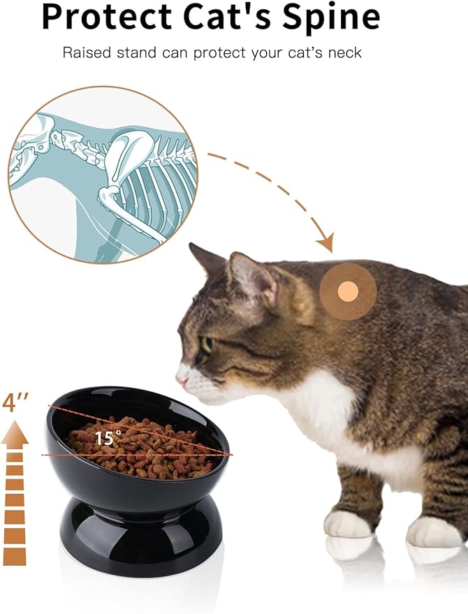 ABRUTY Cat Water Bowl, 16 OZ Ceramic Elevated Cat Bowls, 15° Tilted and Raised Pet Food Dish, Anti Vomiting Protect Pets' Spines and Whisker Fatigue