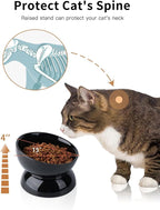ABRUTY Cat Water Bowl, 16 OZ Ceramic Elevated Cat Bowls, 15° Tilted and Raised Pet Food Dish, Anti Vomiting Protect Pets' Spines and Whisker Fatigue