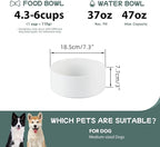 Havniva Ceramic Dog Bowl, Food and Water Bowl for Medium Breed Dog, Pet Bowl for Replacement (7.3 inch, Single Bowl, White)