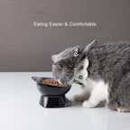 Nihow Elevated Cat/Dog Bowls: 5 Inch Ceramic Raised Cat Food & Water Bowl Set for Protecting Pet's Spine - Feeding & Watering Supplies for Pets - Elegant Gray (4.5 OZ /1 PC)