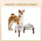 Havniva Ceramic 1.2 Cup Raised Slow Feeder Dog Bowl Set, Elevated 6.1inch Bowl and 7.3inch Dish with Acacia Wood Stand for Small and Medium Dog(2 x Reactived Glaze -White+ Stand)