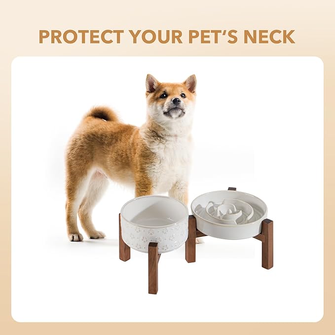 Havniva Ceramic 1.2 Cup Raised Slow Feeder Dog Bowl Set, Elevated 6.1inch Bowl and 7.3inch Dish with Acacia Wood Stand for Small and Medium Dog(2 x Reactived Glaze -White+ Stand)