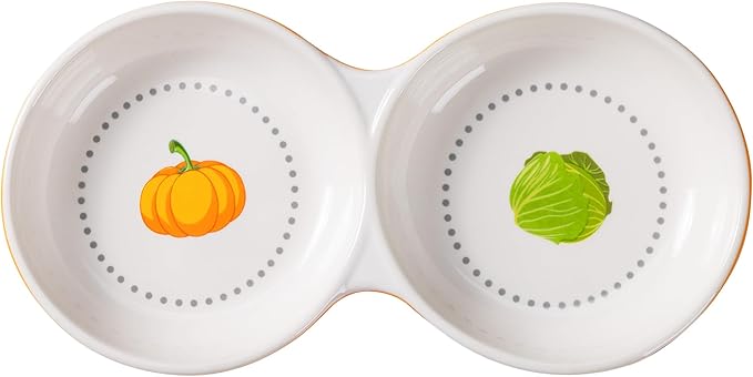 Navaris Twin Feeding Bowls for Small Pets - Durable Double Ceramic Bowl Set for Rabbits, Guinea Pigs - Ideal Food & Water for Kitten, Puppy - Space-Saving & Easy to Clean - Orange