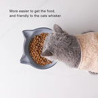 Nihow Elevated Cat/Dog Bowls Set : 6.2 Inch Ceramic Raised Cat Food & Water Bowl Set for Protecting Pet's Spine - Feeding & Watering Supplies for Cat/Small Size Dog - Elegant Gray(2PC)