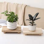 zoocatia Small Wood Tray Pedestal Stand Farmhouse Bathroom Decor Decorative Wooden Riser Kitchen Soap Dish Holder for Vanity, Counter, Sink, 9" x 5.9" - Brown