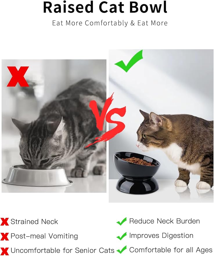 ABRUTY Cat Water Bowl, 16 OZ Ceramic Elevated Cat Bowls, 15° Tilted and Raised Pet Food Dish, Anti Vomiting Protect Pets' Spines and Whisker Fatigue