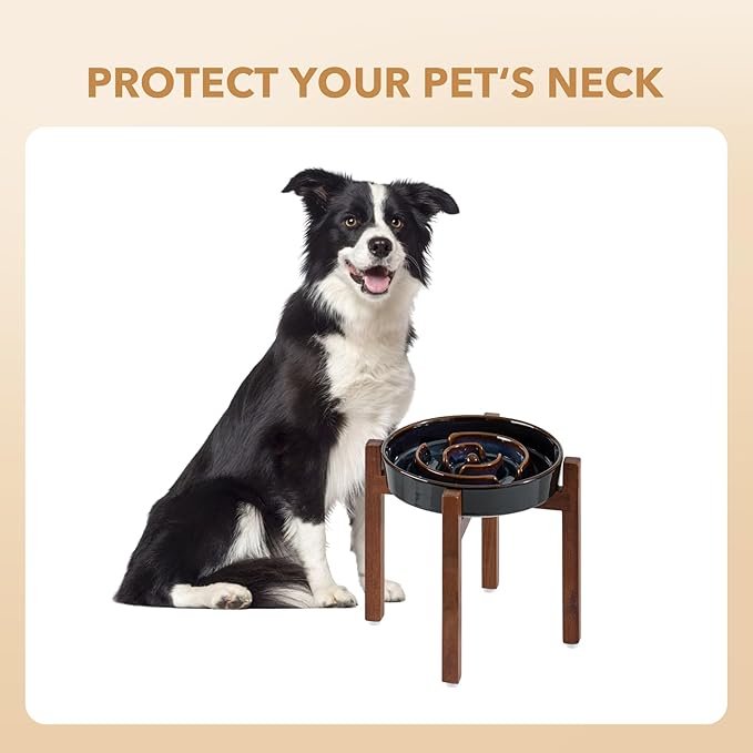Havniva Ceramic 1.6 Cup Raised Slow Feeder Dog Bowl Set, Elevated Acacia Wood Stand for Medium and Large Dog, 8.2inch Slow Dish, Stop Bloat(Single Bowl+ Stand, Starry Sky)