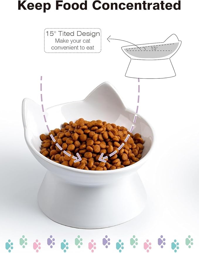 ABRUTY Cat Food Bowl, 5 OZ Ceramic Elevated Kitten Water Bowl, 15° Tilted Raised Pet Feeder, Anti Vomiting and Whisker Friendly Dishes for Fat Faced, Cat, Kitten, Small Dog