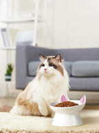 ABRUTY Cat Food Bowl, 5 OZ Ceramic Elevated Kitten Water Bowl, 15° Tilted Raised Pet Feeder, Anti Vomiting and Whisker Friendly Dishes for Fat Faced, Cat, Kitten, Small Dog