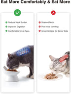 ABRUTY Cat Food Bowl, 5 OZ Ceramic Elevated Kitten Water Bowl, 15° Tilted Raised Pet Feeder, Anti Vomiting and Whisker Friendly Dishes for Fat Faced, Cat, Kitten, Small Dog