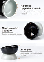 ABRUTY Cat Water Bowl, 16 OZ Ceramic Elevated Cat Bowls, 15° Tilted and Raised Pet Food Dish, Anti Vomiting Protect Pets' Spines and Whisker Fatigue, Black & Gray