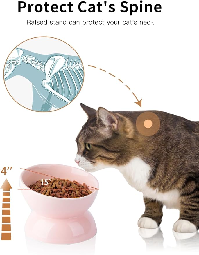 ABRUTY Cat Water Bowl, 16 OZ Ceramic Elevated Cat Bowls, 15° Tilted and Raised Pet Food Dish, Anti Vomiting Protect Pets' Spines and Whisker Fatigue