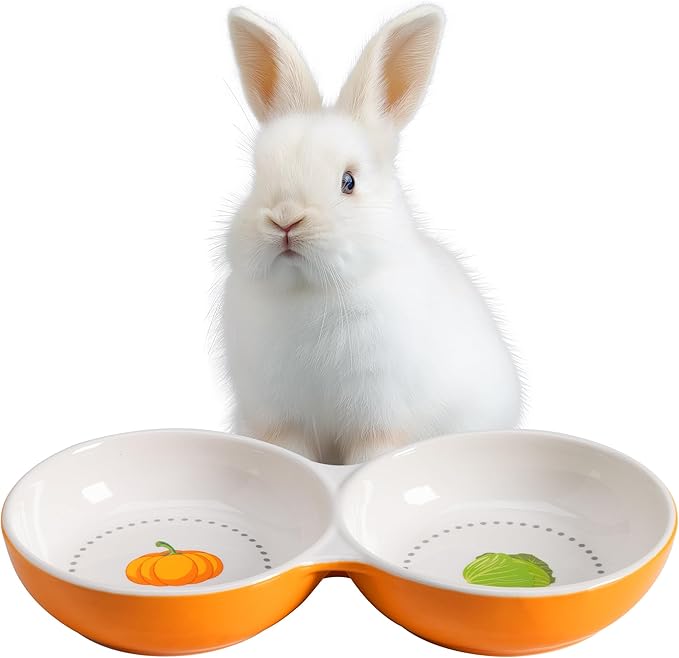 Navaris Twin Feeding Bowls for Small Pets - Durable Double Ceramic Bowl Set for Rabbits, Guinea Pigs - Ideal Food & Water for Kitten, Puppy - Space-Saving & Easy to Clean - Orange