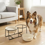 Elevated Ceramic Dog Bowl Set - Double Dishes with Non-Slip Iron Stand - Raised Feeding Station for Food & Water - Ideal for Small and Medium Dogs - 2 × 720ml Capacity - Beige - 15 cm Height