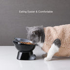 Nihow Elevated Cat/Dog Bowls Set : 6.2 Inch Ceramic Raised Cat Food & Water Bowl Set for Protecting Pet's Spine - Feeding & Watering Supplies for Cat/Small Size Dog - Elegant Gray(2PC)
