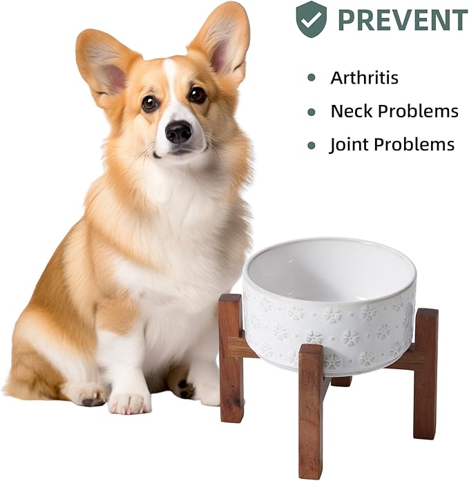 Havniva Ceramic 6.1inch Raised Dog and Cat Bowl Set, 2 Heights Elevated with Acacia Wood Stand, Food and Water Bowl for Small Breed Dogs, Weighted Dog Dishes(27oz, Arctic White)