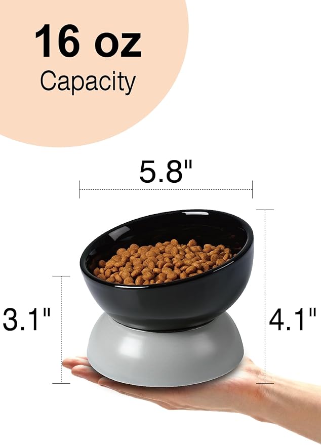 ABRUTY Cat Water Bowl, 16 OZ Ceramic Elevated Cat Bowls, 15° Tilted and Raised Pet Food Dish, Anti Vomiting Protect Pets' Spines and Whisker Fatigue, Black & Gray