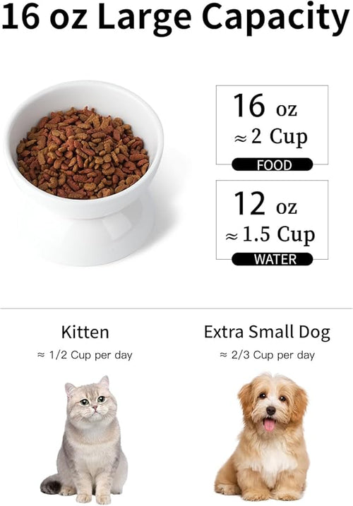 ABRUTY Cat Water Bowl, 16 OZ Ceramic Elevated Cat Bowls, 15° Tilted and Raised Pet Food Dish, Anti Vomiting Protect Pets' Spines and Whisker Fatigue