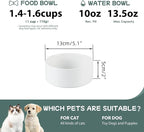 Havniva Ceramic 5.1inch Set of 2 Dog and Cat Bowls, Food and Water Feeder for Small Breed Dogs, Kitty, Cats, 2pcs Dog & Cat Dishes(2 Bowls, White)