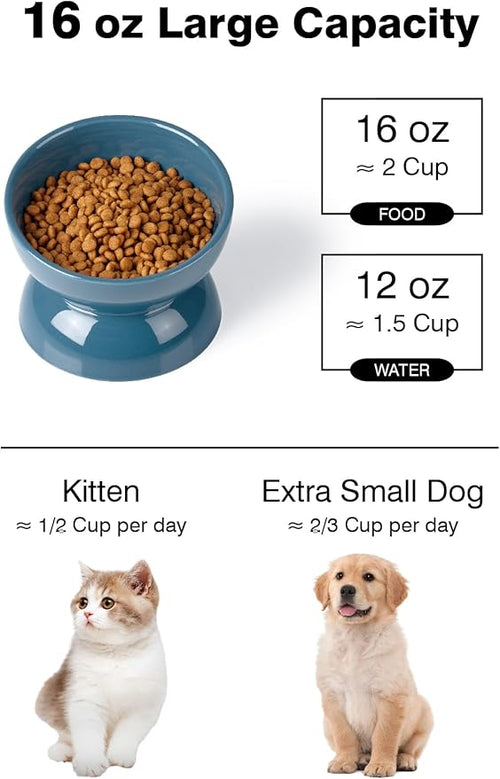ABRUTY Cat Water Bowl, 16 OZ Ceramic Elevated Cat Bowls, 15° Tilted and Raised Pet Food Dish, Anti Vomiting Protect Pets' Spines and Whisker Fatigue, Blue