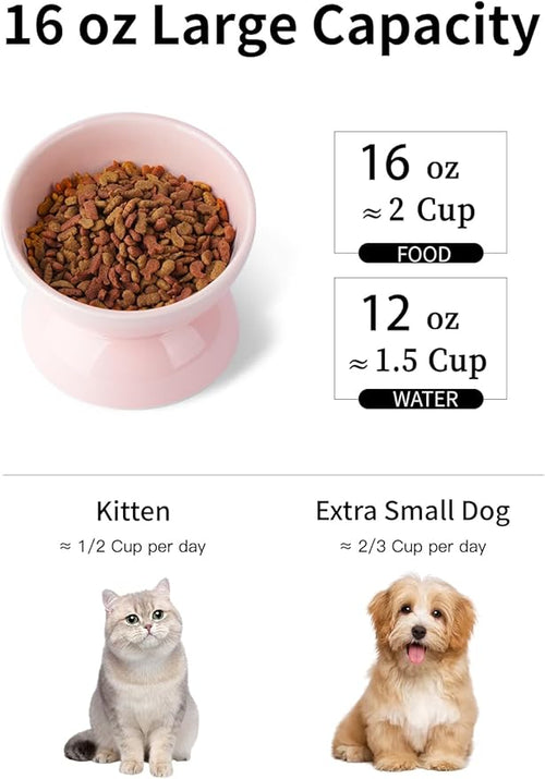 ABRUTY Cat Water Bowl, 16 OZ Ceramic Elevated Cat Bowls, 15° Tilted and Raised Pet Food Dish, Anti Vomiting Protect Pets' Spines and Whisker Fatigue