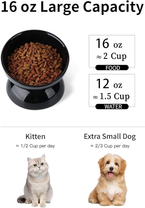 ABRUTY Cat Water Bowl, 16 OZ Ceramic Elevated Cat Bowls, 15° Tilted and Raised Pet Food Dish, Anti Vomiting Protect Pets' Spines and Whisker Fatigue