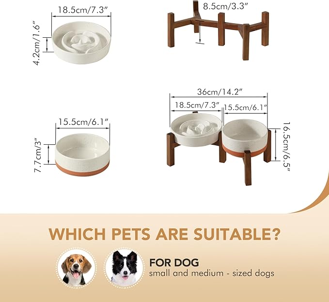 Havniva Ceramic 1.2 Cup Raised Slow Feeder Dog Bowl Set, Elevated 6.1inch Bowl and 7.3inch Dish with Acacia Wood Stand for Small and Medium Dogs(2 x Vanilla White+ Stand)