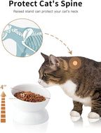 ABRUTY Cat Water Bowl, 16 OZ Ceramic Elevated Cat Bowls, 15° Tilted and Raised Pet Food Dish, Anti Vomiting Protect Pets' Spines and Whisker Fatigue