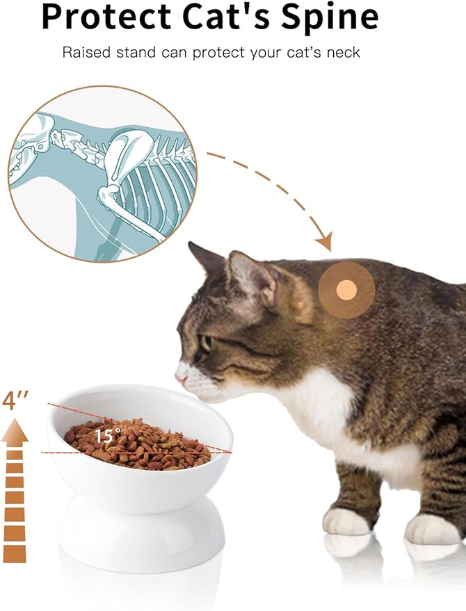 ABRUTY Cat Water Bowl, 16 OZ Ceramic Elevated Cat Bowls, 15° Tilted and Raised Pet Food Dish, Anti Vomiting Protect Pets' Spines and Whisker Fatigue