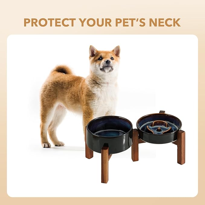 Havniva Ceramic 0.9 Cup Raised Slow Feeder Dog Bowl Set, Elevated 6.1inch Water Bowl and 6.1inch Slow Dish with Acacia Wood Stand for Small Dogs (2 x Starry Sky+ Stand)