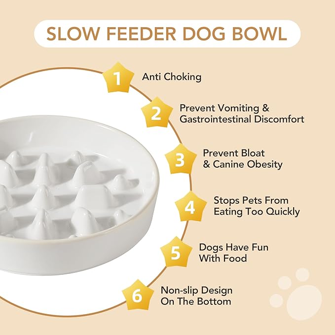 Havniva Ceramic 1.6 Cup Raised Slow Feeder Dog Bowl Set, Elevated 7.3inch Bowl and 8.2inch Slow Feeder Dish with Acacia Wood Stand for Medium and Large Dogs (2 x Reactived Glaze -White+ Stand)