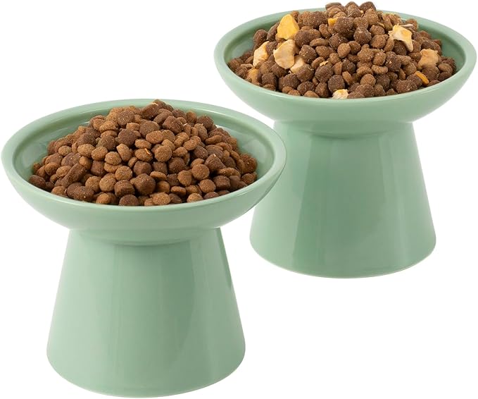 CEEFU Extra Wide Elevated Ceramic Cat Bowl, 6.2" Shallow Dish for Whisker Fatigue Relief, 5" Height for Easy Feeding, Durable Raised Cat Food Bowls, Pack of 2, Sage Green