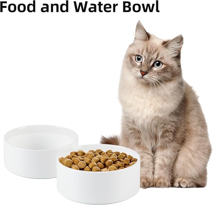 Havniva Ceramic 5.1inch Set of 2 Dog and Cat Bowls, Food and Water Feeder for Small Breed Dogs, Kitty, Cats, 2pcs Dog & Cat Dishes(2 Bowls, White)